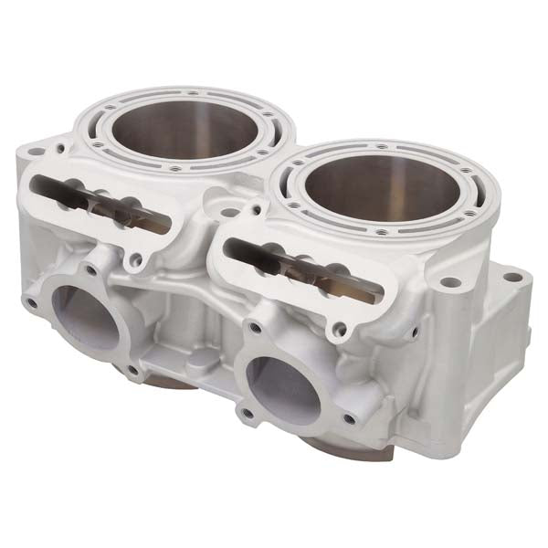 SPX ENGINE CYLINDER (SM - 09626) - DRIVEN Canada's Powersports SM - 09626