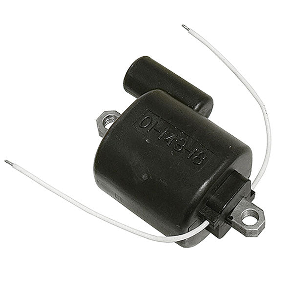 SPX IGNITION COIL (01 - 143 - 18) - DRIVEN Canada's Powersports 68257702618001 - 143 - 18