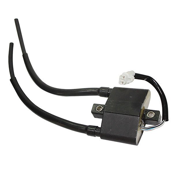 SPX IGNITION COIL (SM - 01162) - DRIVEN Canada's Powersports 682577026135SM - 01162