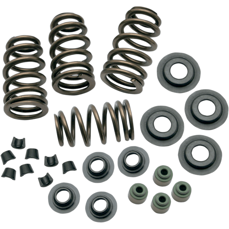 S&S CYCLE SPRINGS VLV .650" 05 - 17 TC - Driven Powersports Inc.106 - 5909