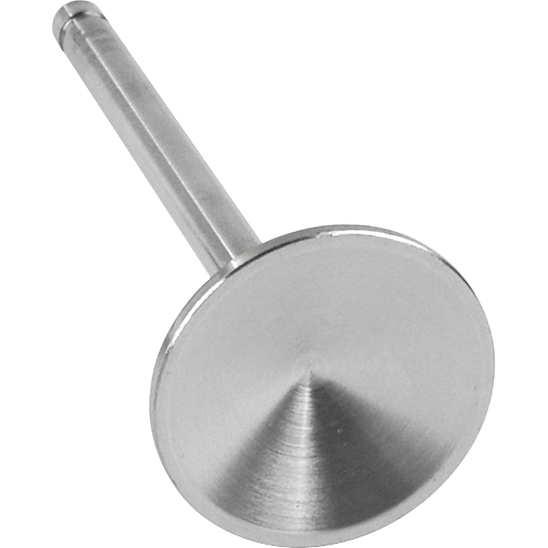 S&S CYCLE T/C - EVO 89CC INTK VALVE 2.00" STK LENG (90 - 2000) - DRIVEN Canada's Powersports 90 - 2000