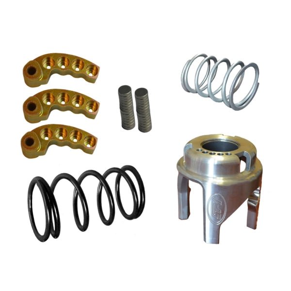 STRAIGHTLINE PERFORMANCE CLUTCH KIT WITH ADJUSTABLE WEIGHT - Driven Powersports Inc.124 - 163