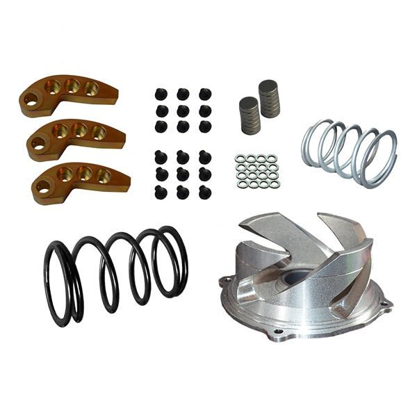 STRAIGHTLINE PERFORMANCE CLUTCH KIT WITH ADJUSTABLE WEIGHT (123 - 145) - Driven Powersports Inc.123 - 145