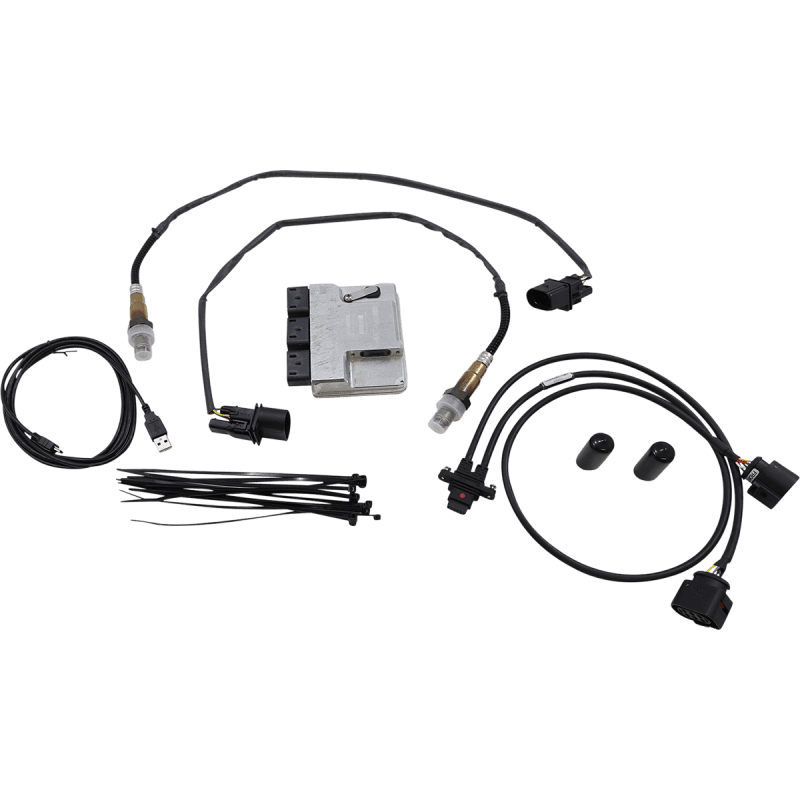 THUNDER HEART PERFORMANCE 17 - 19 TOURING MODELS CONTROLLER - Driven Powersports Inc.309 - 588