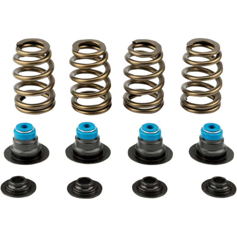 V - THUNDER SPRING KIT .585 TC 05 - 17 - Driven Powersports Inc.365843219589714 - KIT