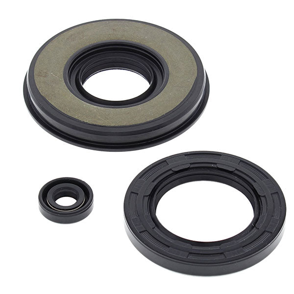 VERTEX OIL SEAL KIT (55203) - Driven Powersports Inc.5520355203