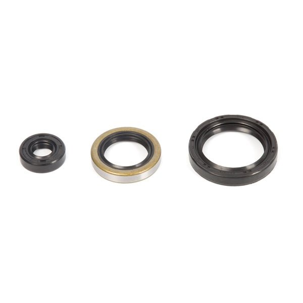 VERTEX OIL SEAL KIT (822143) - Driven Powersports Inc.822143822143