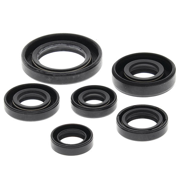 VERTEX OIL SEAL KIT (822146) - DRIVEN Canada's Powersports 822146822146