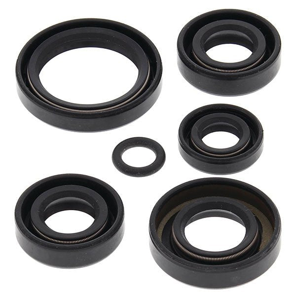 VERTEX OIL SEAL KIT (822242) - DRIVEN Canada's Powersports 822242822242