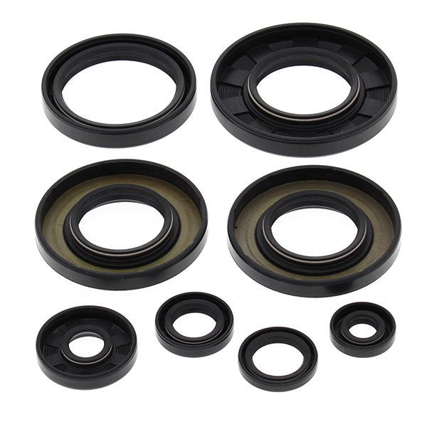 VERTEX OIL SEAL KIT (822349) - Driven Powersports Inc.822349822349