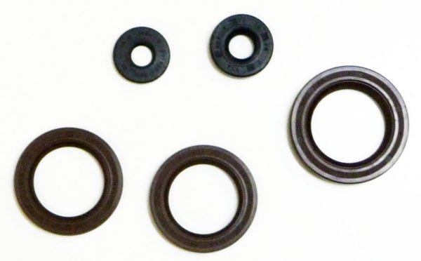VERTEX OIL SEAL KIT (822362) - Driven Powersports Inc.822362822362