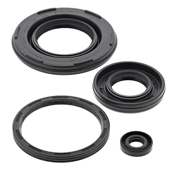 VERTEX OIL SEAL KIT - Driven Powersports Inc.71420555160055160