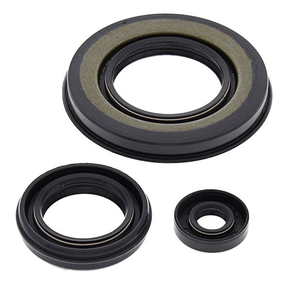 VERTEX OIL SEAL KIT - Driven Powersports Inc.71420555198355198