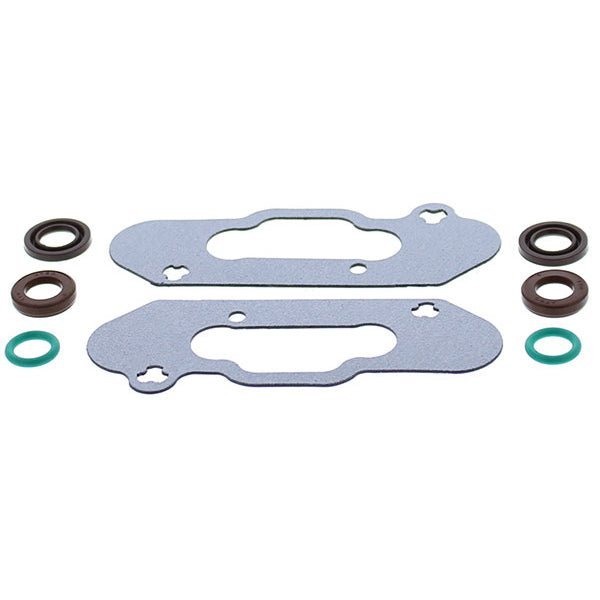 VERTEX POWER VALVE GASKET KIT (719206) - Driven Powersports Inc.714205004236719206