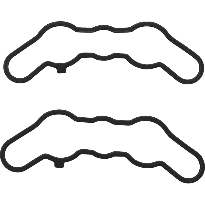 VERTEX POWER VALVE GASKET KIT (719122) - Driven Powersports Inc.719122719122