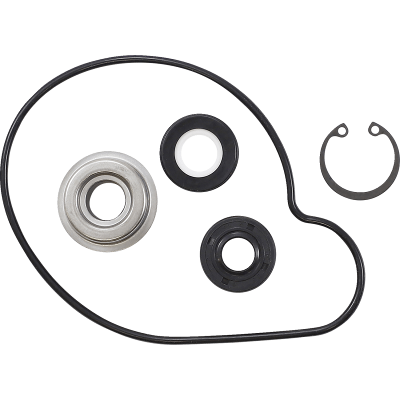 VERTEX WATER PUMP REBUILD KIT (721262) - DRIVEN Canada's Powersports 721262721262