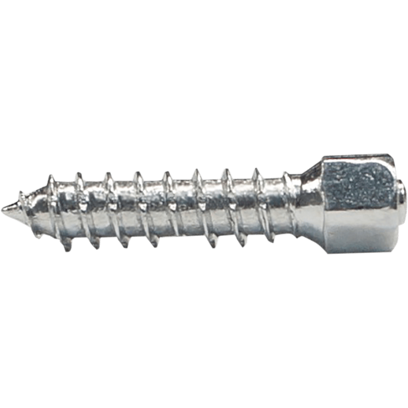 WOODY'S SCREW CARBIDE TIRE ATTACK 25MM 100 - DRIVEN Canada's Powersports WST - 0625 - 100 - 1