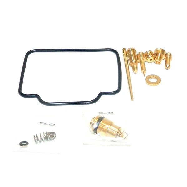 WSM CARBURETOR KIT (016 - 424) - DRIVEN Canada's Powersports 865369361274016 - 424