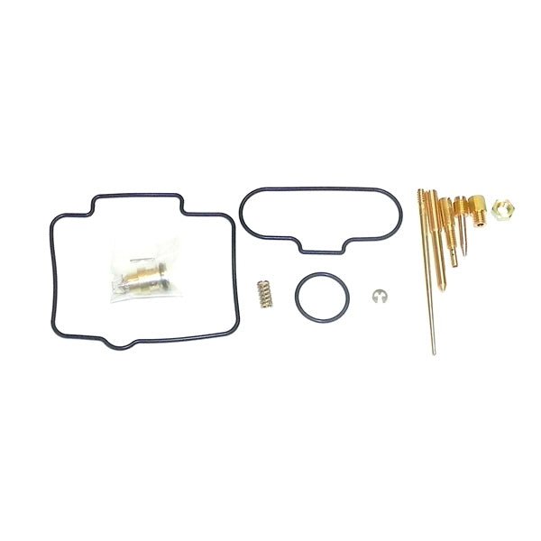 WSM CARBURETOR KIT (016 - 705) - DRIVEN Canada's Powersports 865369191574016 - 705