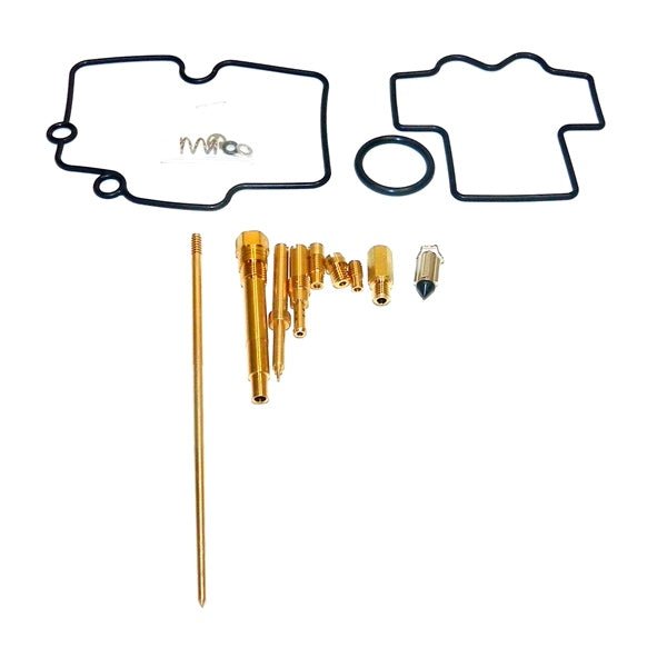 WSM CARBURETOR KIT (016 - 713) - DRIVEN Canada's Powersports 865369249459016 - 713