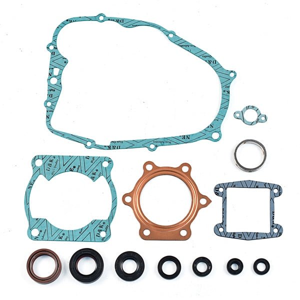 WSM GASKET COMPLETE KIT (25 - 500 - OS) - DRIVEN Canada's Powersports 86536908603025 - 500 - OS