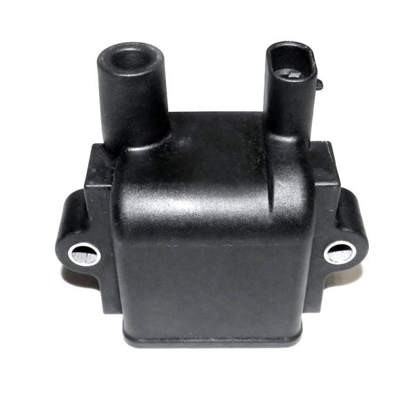 WSM IGNITION COIL (004 - 173) - DRIVEN Canada's Powersports 865369316724004 - 173