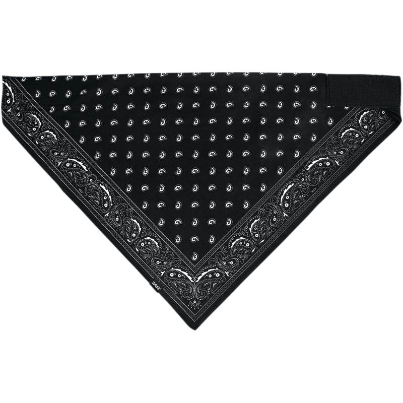 ZAN HEADGEAR BANDANNA SPORTFLEX SERIES PAISLEY - DRIVEN Canada's Powersports 642608052571BL101