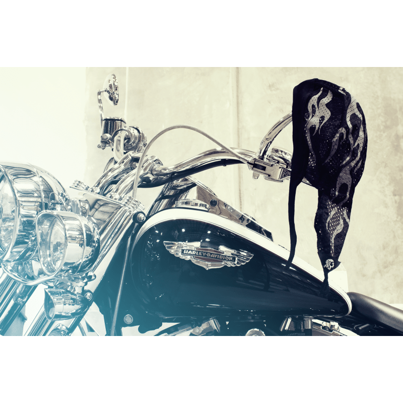 ZAN HEADGEAR FLYDANNA VENTED SPORT REFLECTIVE FLAMES (ZVS002) - DRIVEN Canada's Powersports 642608047874ZVS002