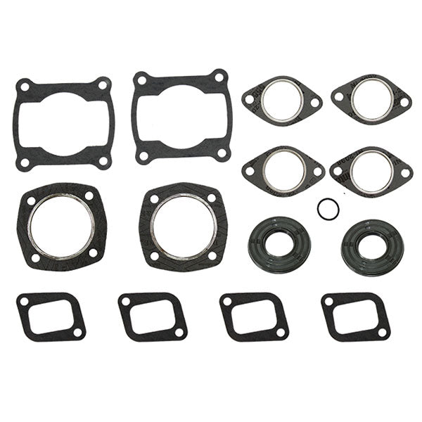 SPX Engine Gasket Sets & Oil Seals (09 - 711173) - DRIVEN Canada's Powersports 68257700231309-711173
