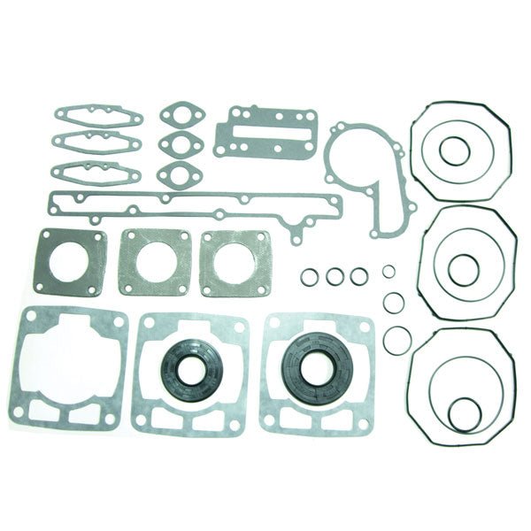 SPX ENGINE GASKET SETS & OIL SEALS (09 - 711254) - DRIVEN Canada's Powersports 68257700257309 - 711254