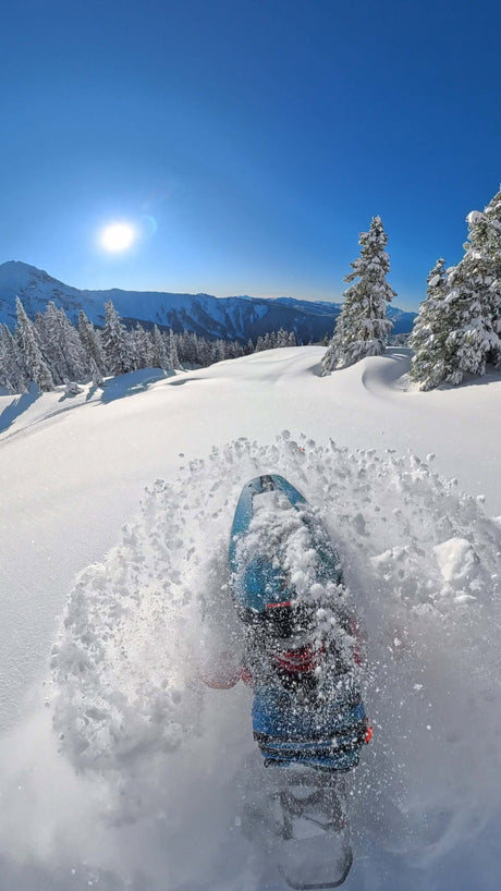 Dave Norona - Full of Energy!