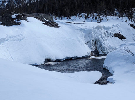 Why Taylor's Brook Road is so key to the NF winter scene and Backcountry access? - Driven Powersports Inc.