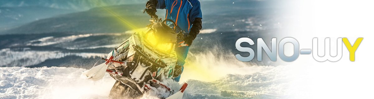 ODX Lighting - Driven Powersports Inc.