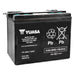 YUASA Conventional Battery (YUAM22H12TWN) - Driven Powersports