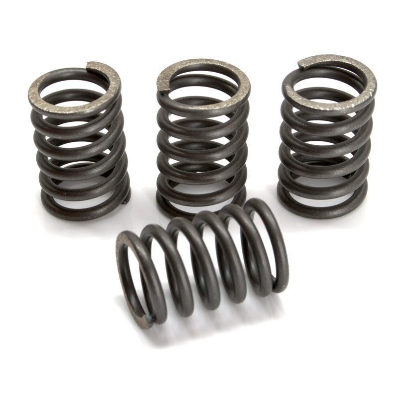EBC CSK SPRING KITS - Driven Powersports