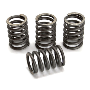 EBC CSK SPRING KITS - Driven Powersports