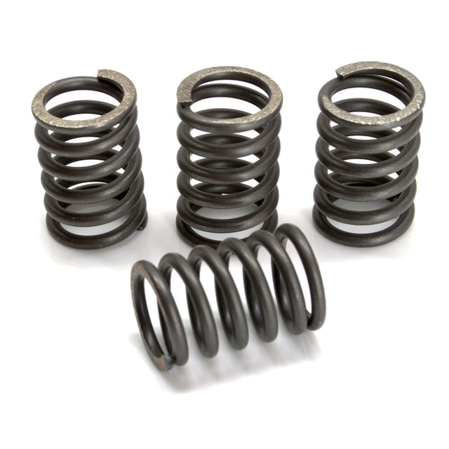 EBC CSK SPRING KITS - Driven Powersports