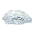 RAIN COVER (076-T419) - Driven Powersports
