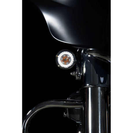 CUSTOM DYNAMICS PROBEAM T/S 1157 INSERTS RINGZ PR Application Shot - Driven Powersports