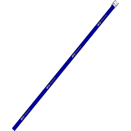 KFI MANUAL LIFT STRAP - Driven Powersports