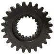 VENOM TOP 3/4" SPROCKET 24 Tooth - Driven Powersports
