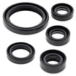 VERTEX OIL SEAL SET SUZ (822226) - Driven Powersports