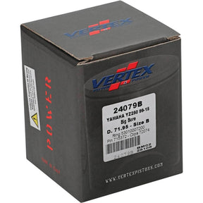 CAST BIG BORE PISTON KIT - Driven Powersports