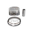 CAST REPLICA PISTON KIT - Driven Powersports