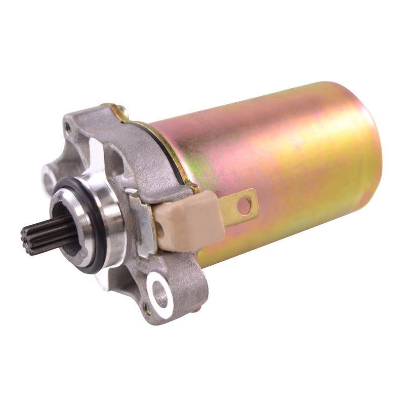 RMS STARTER MOTOR (HONDA) - Driven Powersports