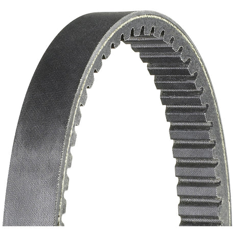 DAYCO ATV/UTV BELT HP ARCTIC CAT - Driven Powersports