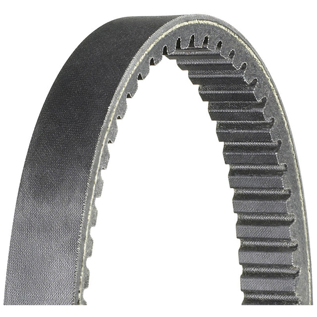 DAYCO ATV/UTV BELT HP ARCTIC CAT - Driven Powersports