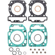 TOP END GASKET KIT - Driven Powersports
