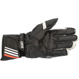 ALPINESTARS GLOVE GP PLUS Rv2 Black/White Back - Driven Powersports