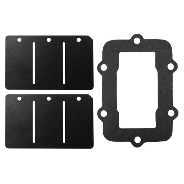 SPX Reed Valve Rebuild Kit (SM-07160C) - Driven Powersports